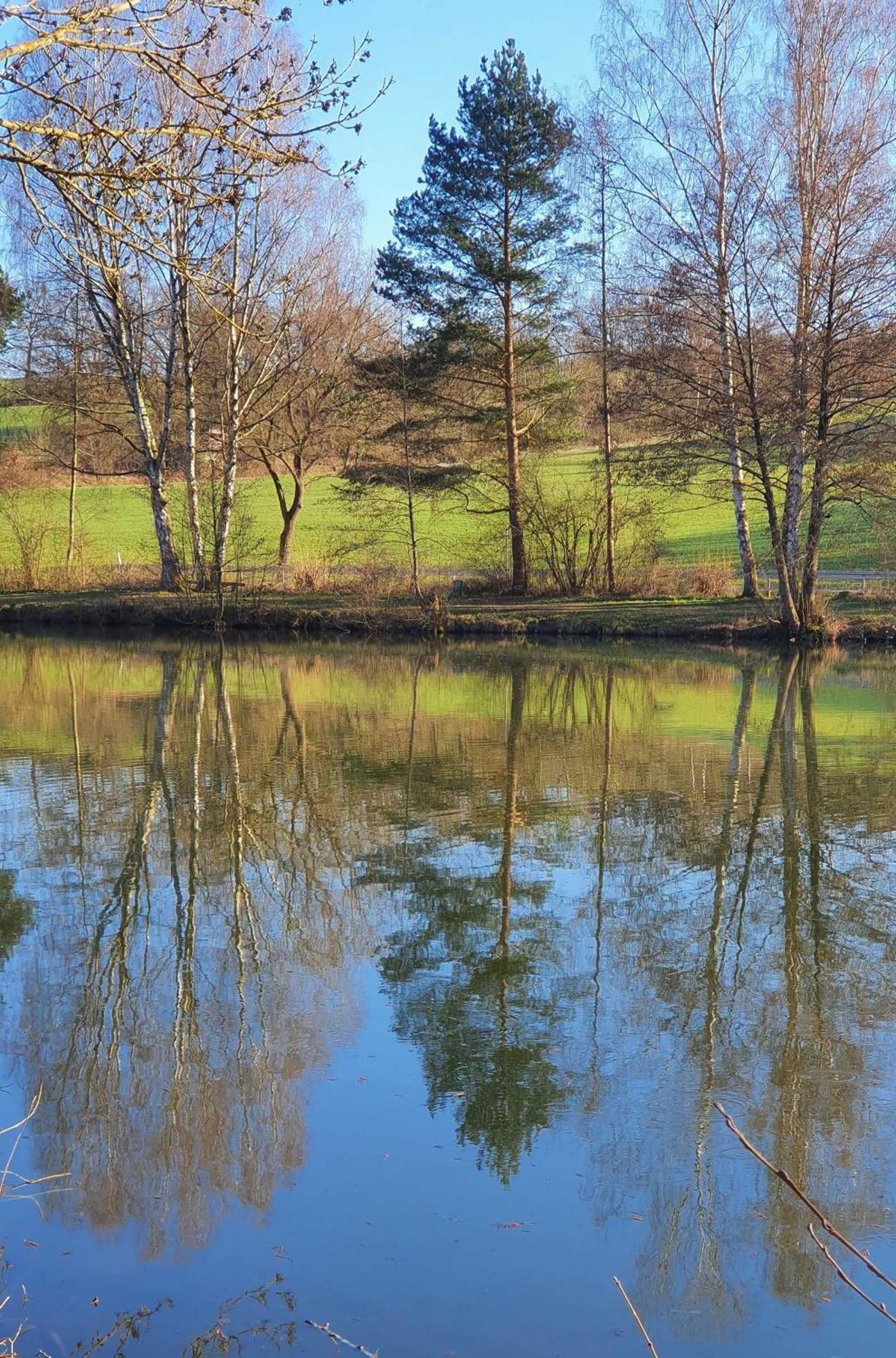 Apartmán Kleinod Am Kurpark Bad Zwesten Exteriér fotografie